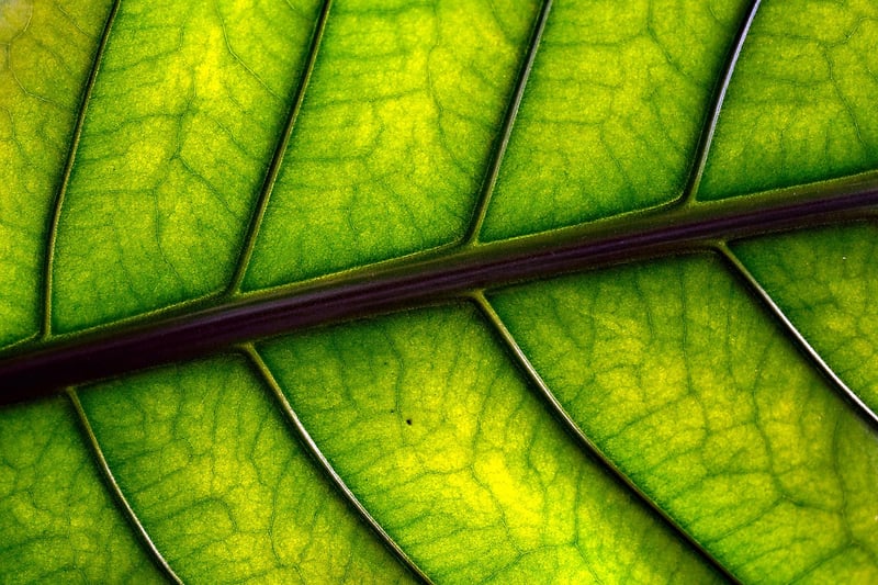 Mindful Movement Image